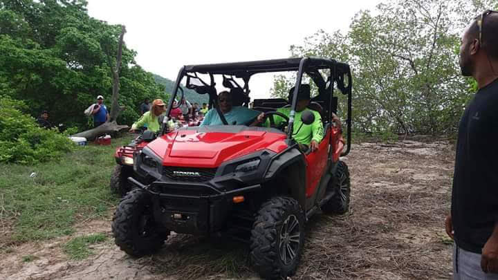 Descripción de la imagen