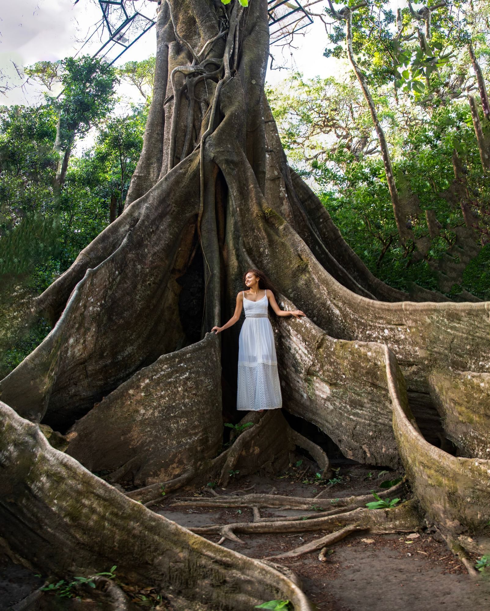 Descripción de la imagen